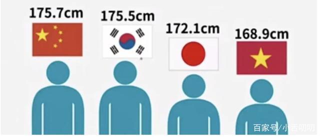 中国人和日本人平均身高