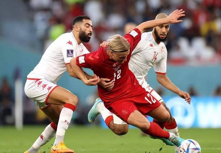 丹麦vs突尼斯的现场直播视频