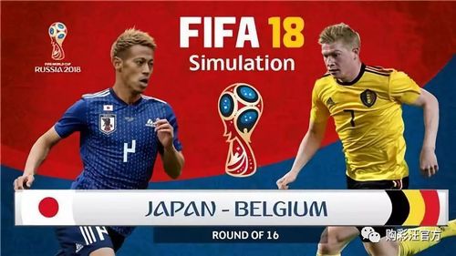 日本vs比利时世界杯心墙