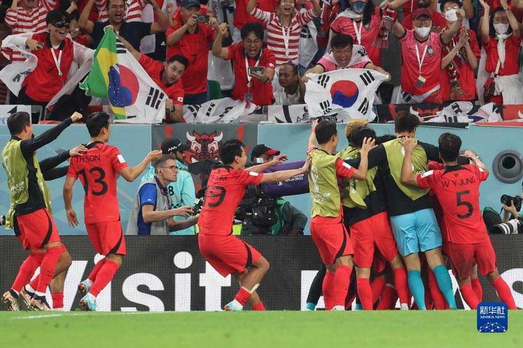 韩国队vs葡萄牙队假球