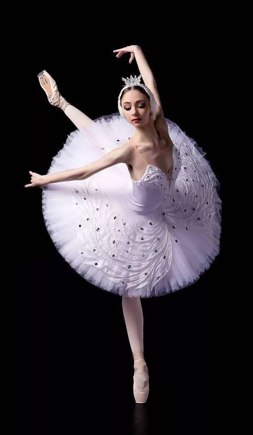 俄罗斯芭蕾vs中国芭蕾的相关图片